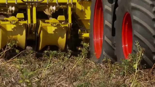 Agricultural Machine In The Field