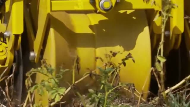 Agricultural Machine In The Field