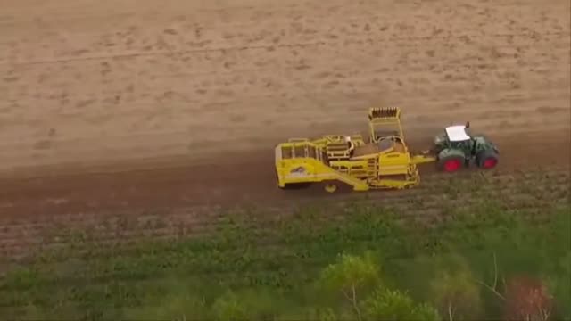 Agricultural Machine In The Field