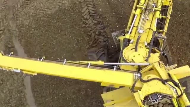 Agricultural Machine In The Field