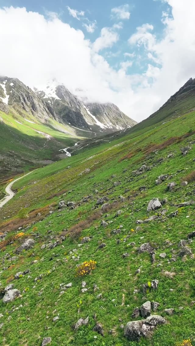 Winding Alpine Valley River