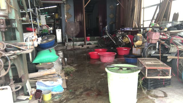 Rustic Workshop Yard
