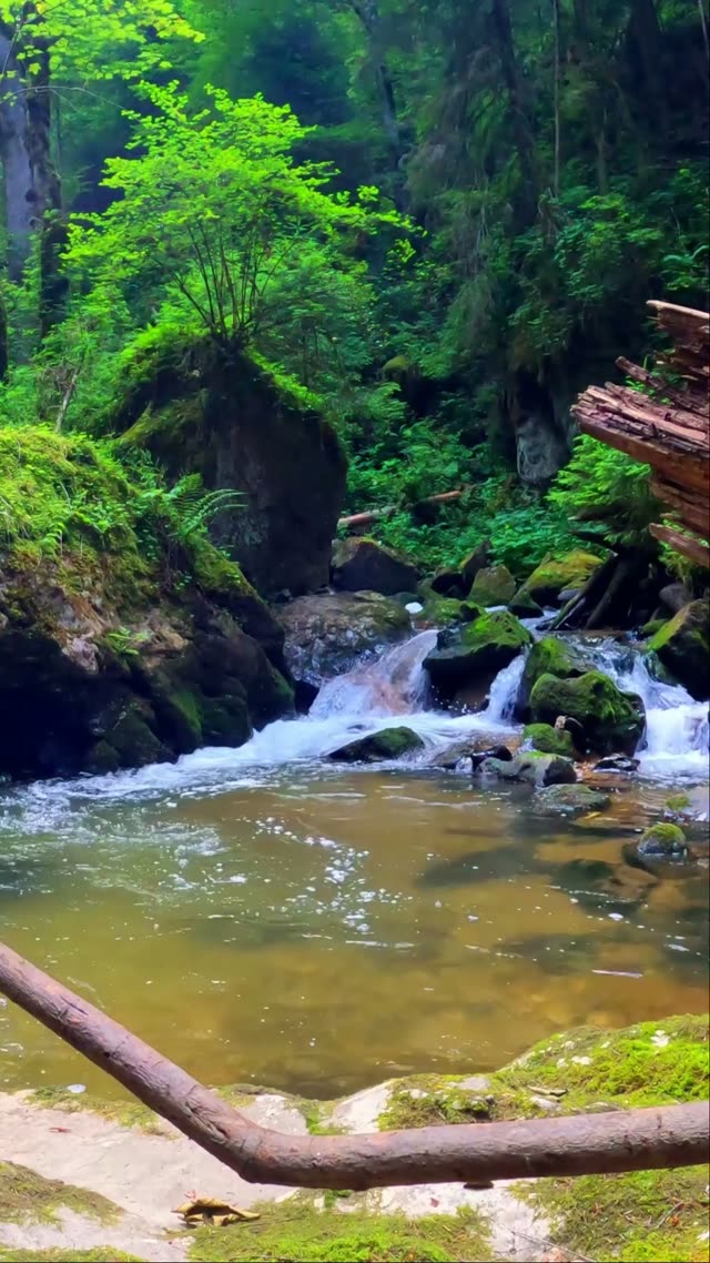 Clear Creek Over Mossy Rocks