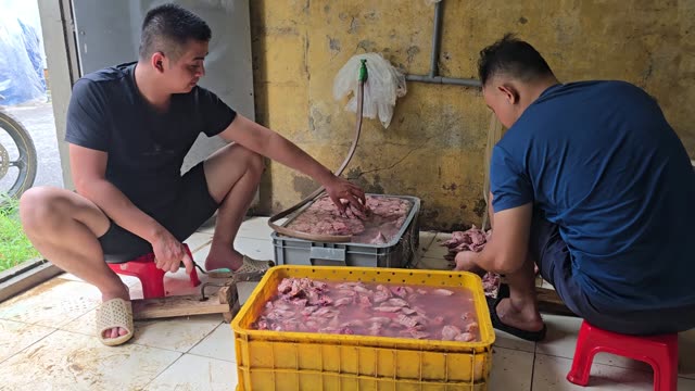 Snake Farm Feeding Time