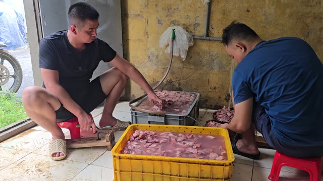 Snake Farm Feeding Time