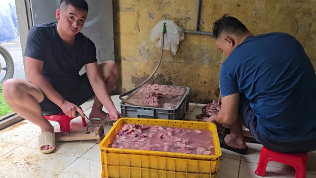 Snake Farm Feeding Time