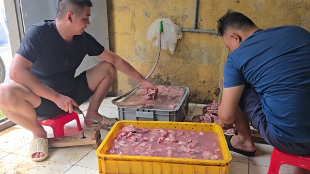 Snake Farm Feeding Time