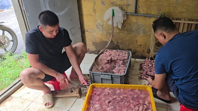 Snake Farm Feeding Time