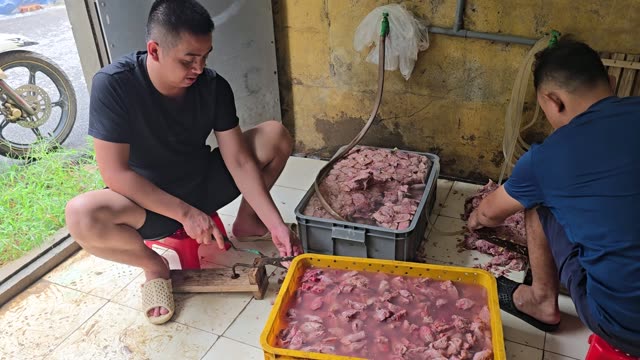 Snake Farm Feeding Time