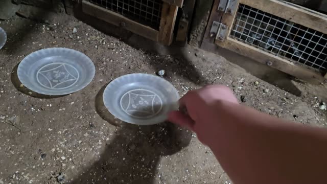 Snake Breeding Farm Interior