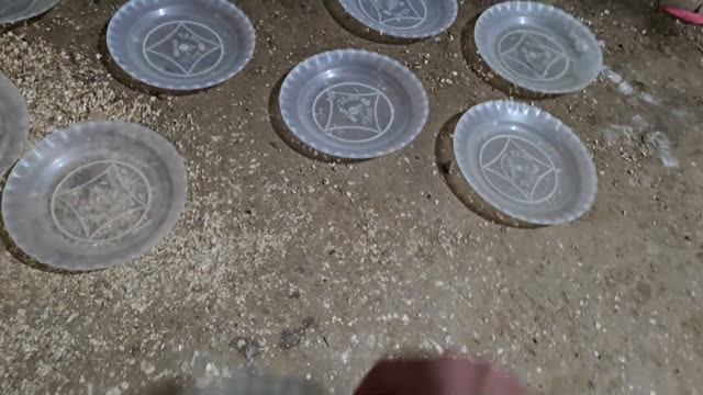 Snake Breeding Farm Interior