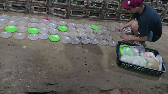 Snake Breeding Farm Interior
