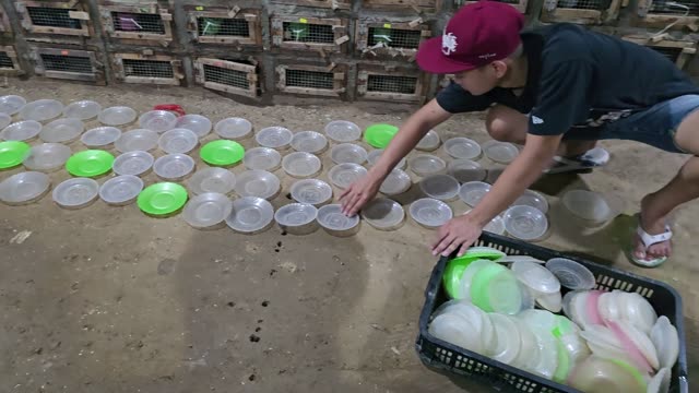 Snake Breeding Farm Interior