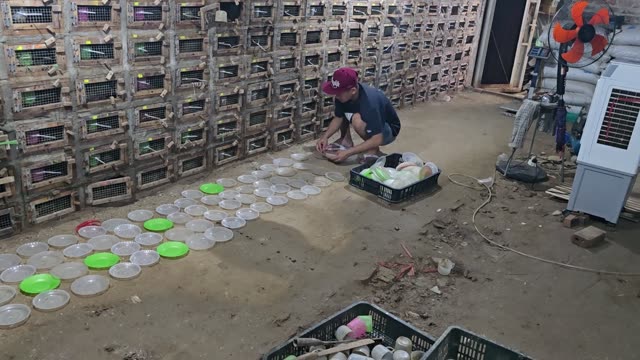 Snake Breeding Farm Interior