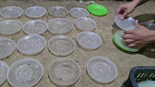 Snake Breeding Farm Interior