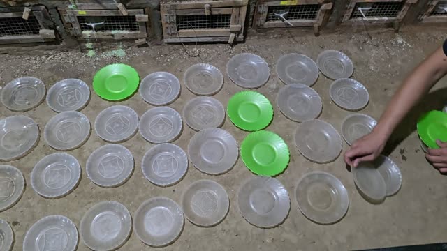 Snake Breeding Farm Interior