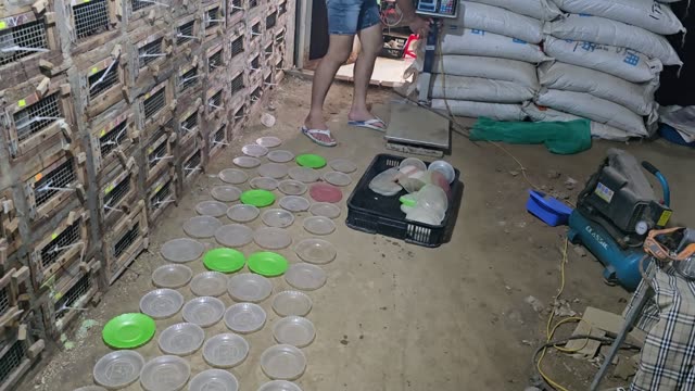 Snake Breeding Farm Interior