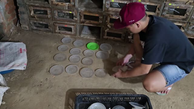 Snake Breeding Farm Interior