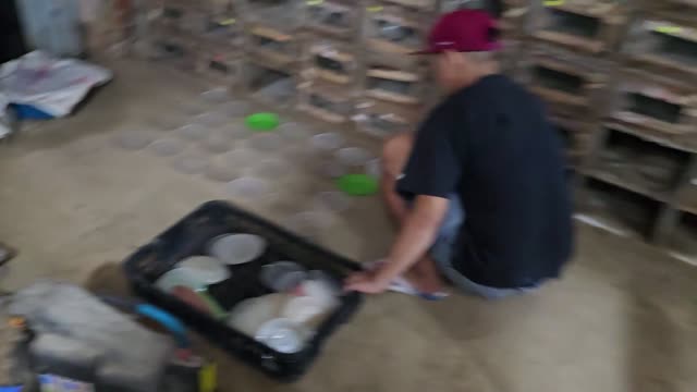 Snake Breeding Farm Interior