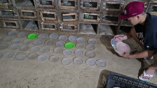 Snake Breeding Farm Interior