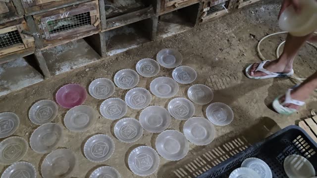 Snake Breeding Farm Interior