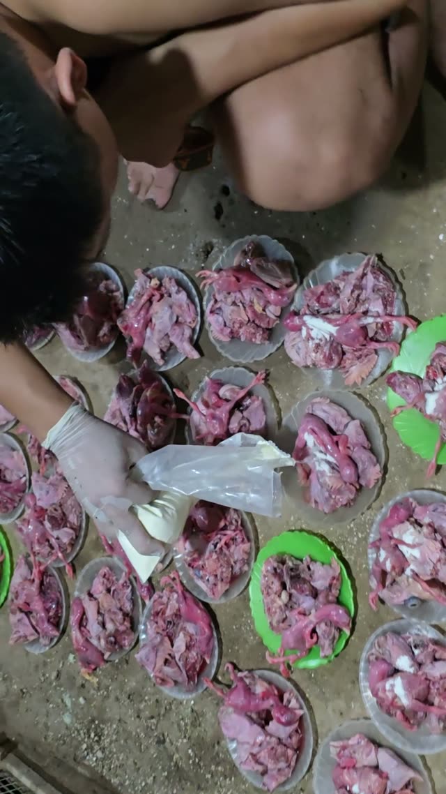 Snake Farm Feeding Time