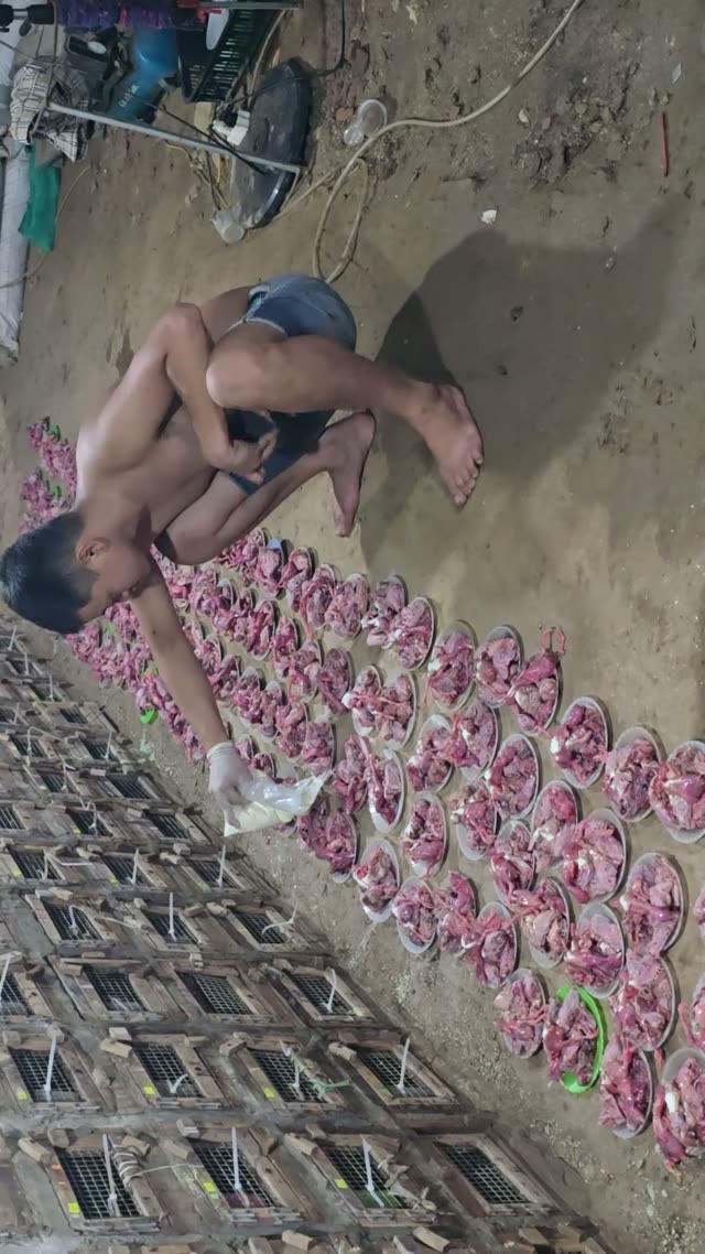 Snake Farm Feeding Time