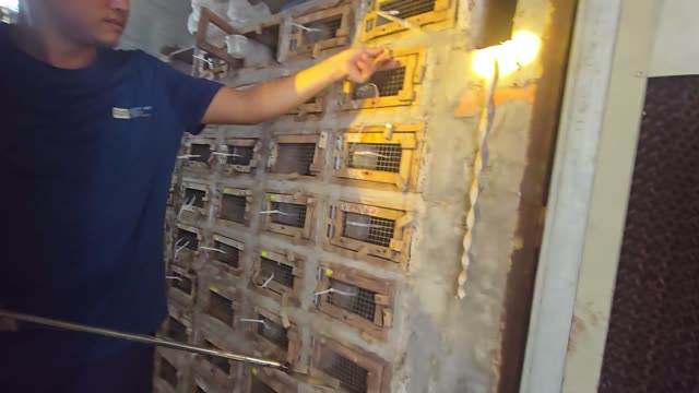 Feeding Bamboo Rats In Cages