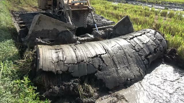 Long Mud Log