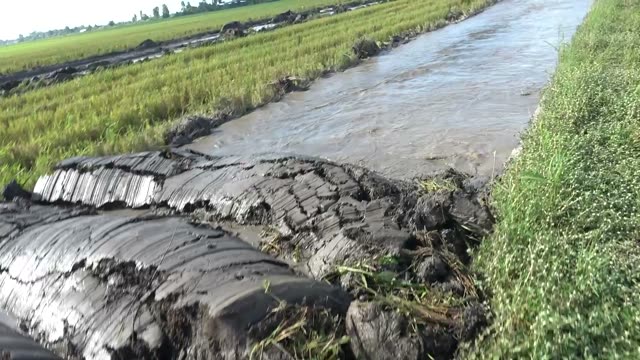 Mud Logs By Water