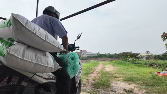 Frog Farm Net Cages
