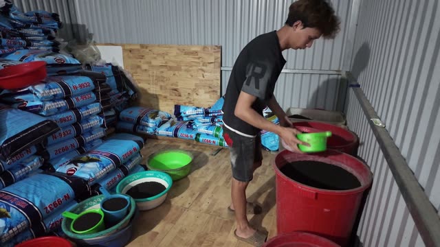 Fish Feed In Buckets