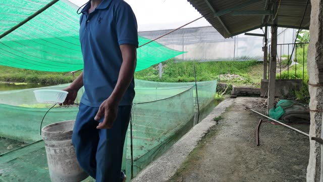 Frogs On Net Rafts