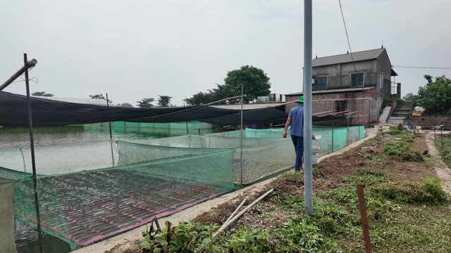 Frog Farm Net Cages