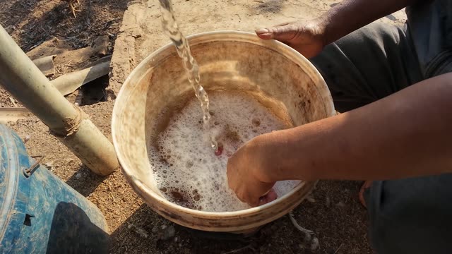 Collecting Eggs At The Chicken Farm