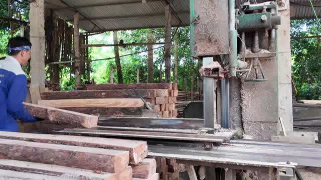Worker Sawing Timber On Bandsaw