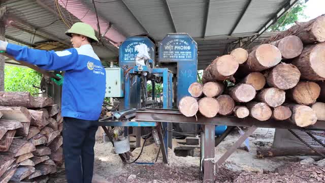 Worker At Log Cutting Machine