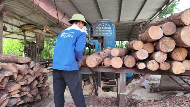 Feeding Logs Into Sawmill Machine