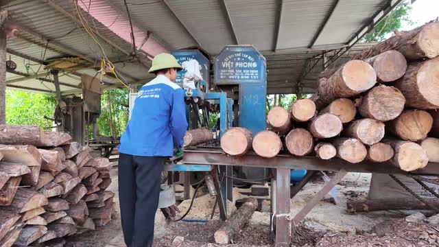 Log Processing At Wood Workshop