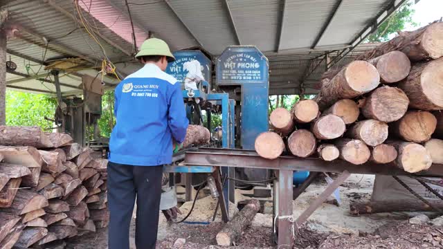 Handling Timber Logs By Machine