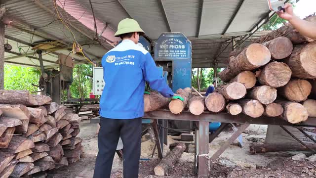 Sawmill Log Cutting Operation