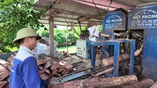 Sawmill Workshop Bandsaw Overview