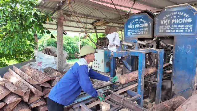 Workers Inside Timber Sawmill
