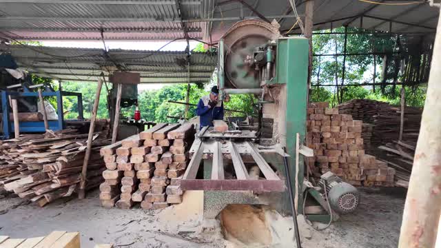 Bandsaw Cutting In Wood Workshop