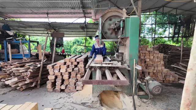 Timber Sawmill Work Overview