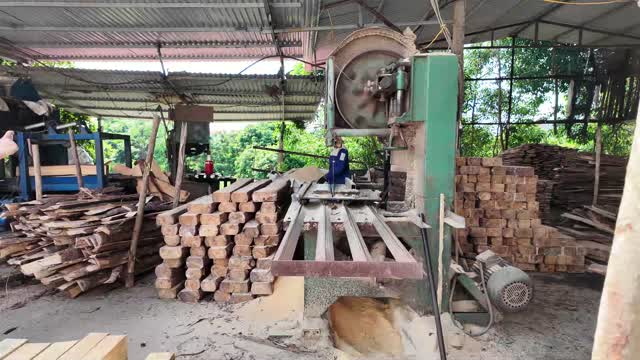 Worker Operating Sawmill Bandsaw