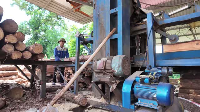 Sawmill Machine With Log Pile