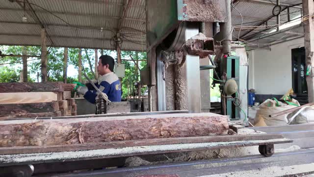 Sawing Large Log Into Planks