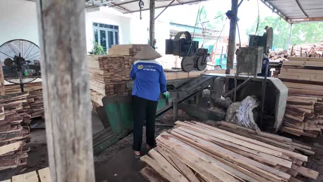 Worker At Timber Resaw Machine