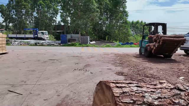 Forklift Carrying Logs In Yard